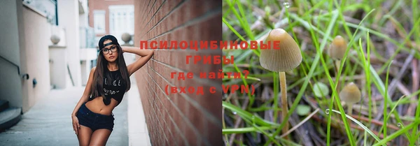 Альфа ПВП Алексеевка