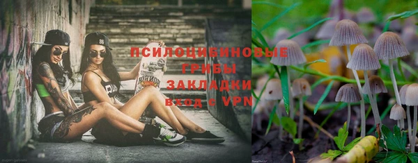 Альфа ПВП Алексеевка