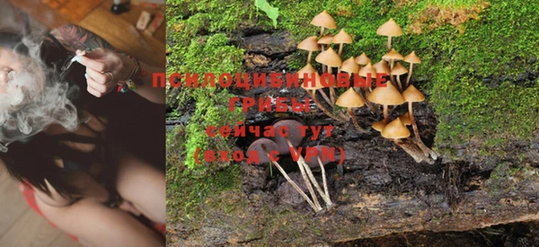 MESCALINE Алзамай